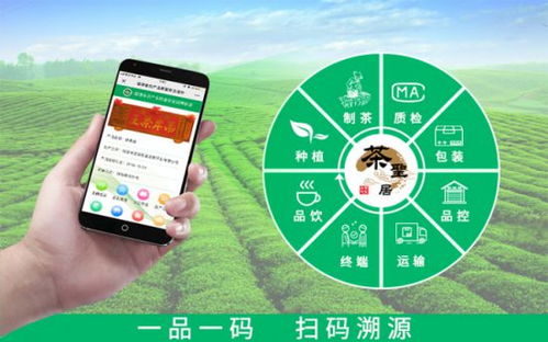 科技創新保障食品安全 茶圣居開創中國茶葉掃碼溯源新起點